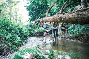 BIB: 
                            <button type="button" onclick="openModal(25445278)" class="btn btn-primary btn-sm float-right btn-popup" data-toggle="modal" data-target=".modal-high-quality">
                        <i class="fas fa-shopping-cart"></i> Add to Cart
                    </button>
                                            <button type="button" onclick="isThisMe(25445278, true)" class="btn btn-success btn-sm float-right btn-popup btn-isme hidden" data-toggle="tooltip" data-placement="bottom" title="นี่คือรูปของคุณใช่ไหม คลิกที่นี่เพื่อเอาเข้าอัลบั้ม">
                        <i class="fas fa-plus"></i> Add to album
                    </button>
                    <button type="button" onclick="isThisMe(25445278, false)" class="btn btn-warning btn-sm float-right btn-popup btn-isnotme hidden">
                        <i class="fas fa-ban"></i> Remove from album
                    </button>